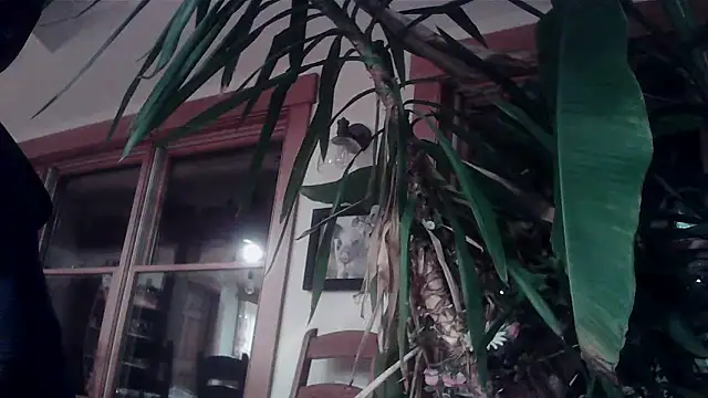 KittingGrappler online show from 11/15/25, 10:48