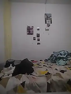 safira hot online show from 02/16/26, 12:40