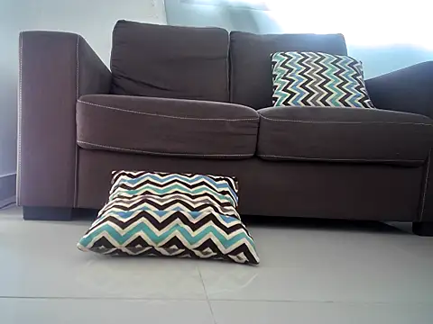 charlyporno22 online show from 02/21/25, 06:15