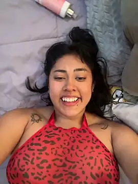 pawmistry online show from 04/08/26, 03:34