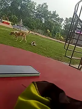 Snapshot of Mmm992170 chatting on 12/24/24, 11:06 Mmm992170 online show from 12/24/24, 11:06