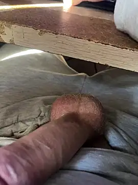 toto36643 online show from 02/03/26, 08:30