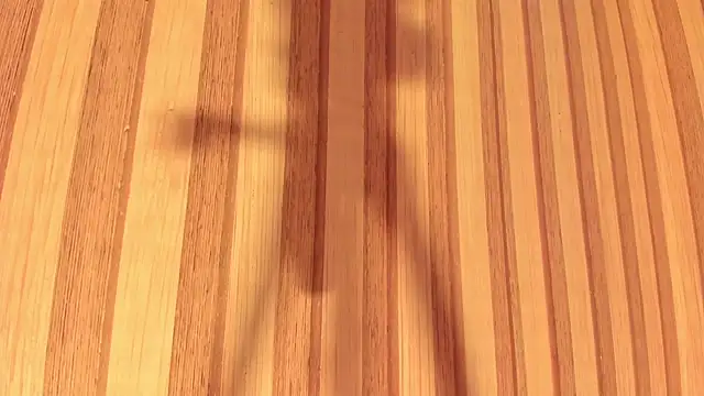 Daisy  rose online show from 02/22/25, 11:02