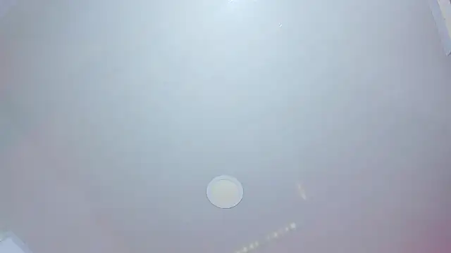 Daisy  rose online show from 03/20/26, 03:00