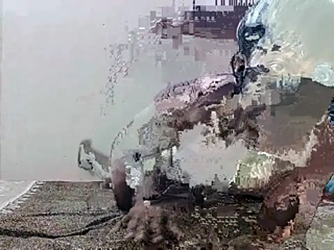 HunkyAriyan online show from 11/11/25, 01:44