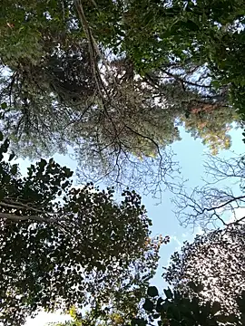  PhillipBrown online show from 09/10/25, 11:32