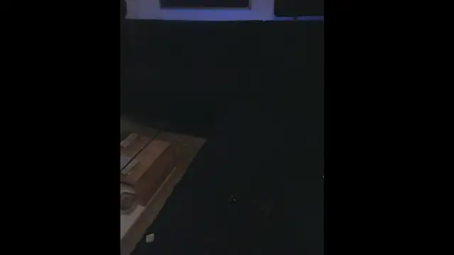 Snapshot of LuggiJack chatting on 01/26/25, 06:27 LuggiJack online show from 01/26/25, 06:27