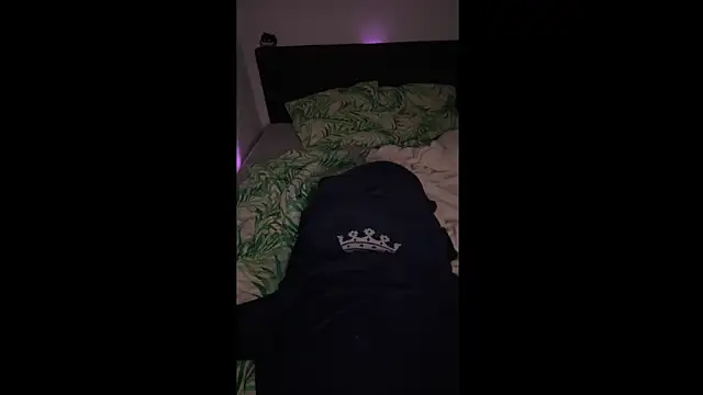 Snapshot of LuggiJack chatting on 01/30/25, 04:24 LuggiJack online show from 01/30/25, 04:24