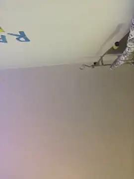 Snapshot of Meliss_Official9 chatting on 10/27/25, 08:46 Meliss Official9 online show from 10/27/25, 08:46