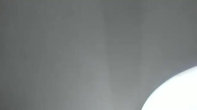 PandoraRider online show from 04/16/26, 01:34