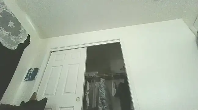 PompasPurpleriver online show from 02/03/25, 08:57