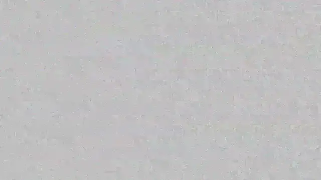 mara jackson  online show from 03/14/25, 11:00