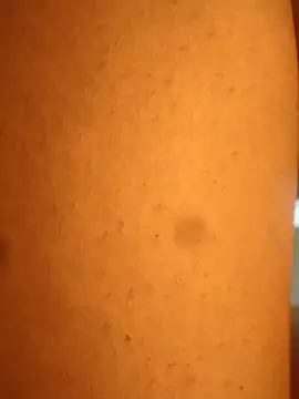 rohitlov150 online show from 02/20/25, 01:46