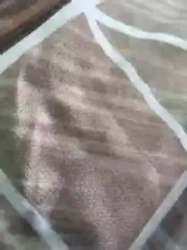 Snapshot of rohitlov150 chatting on 03/16/26, 10:19 rohitlov150 online show from 03/16/26, 10:19