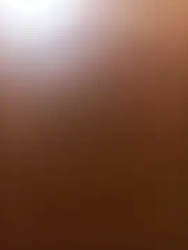 wildfox566 online show from 06/14/26, 03:52