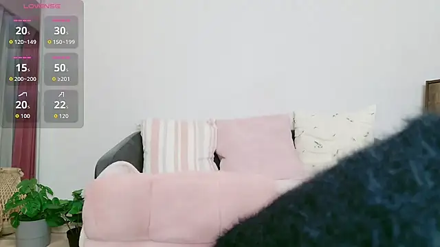 cohaku 329 online show from 01/18/26, 11:14