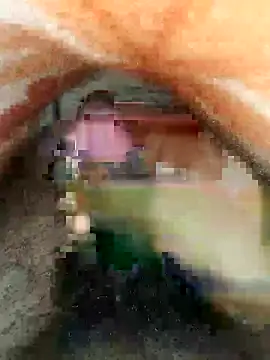 Snapshot of cjonybab chatting on 02/18/25, 04:48 cjonybab online show from 02/18/25, 04:48