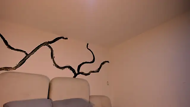 Snapshot of EthanTravis_ chatting on 02/11/25, 07:33 EthanTravis  online show from 02/11/25, 07:33