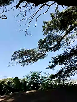 Snapshot of Chocolate_factory_man chatting on 01/18/25, 11:43 Chocolate factory man online show from 01/18/25, 11:43