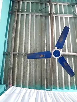 hotbaby 5 online show from 11/16/25, 05:13