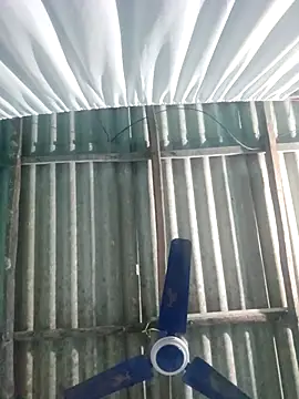 hotbaby 5 online show from 11/20/25, 02:50