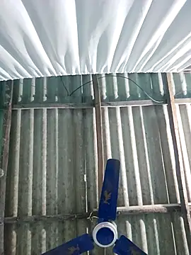 hotbaby 5 online show from 11/22/25, 06:34