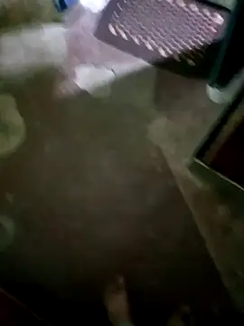 InboardHasek online show from 12/05/24, 01:28