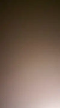 Snapshot of NewKing100 chatting on 12/02/24, 03:37 NewKing100 online show from 12/02/24, 03:37