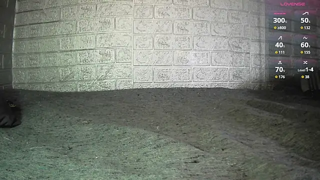 fern tlk online show from 06/17/26, 07:37