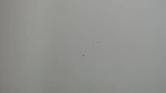 sussy leon online show from 03/18/25, 12:25