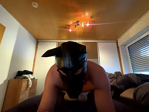 PlayDog123 online show from 01/11/26, 01:49