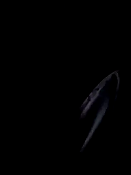 Inkognito0495 online show from 10/29/25, 05:31