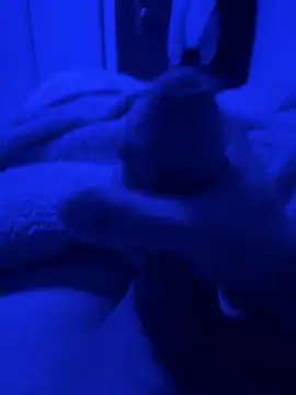 paolone79037 online show from 04/22/26, 09:05