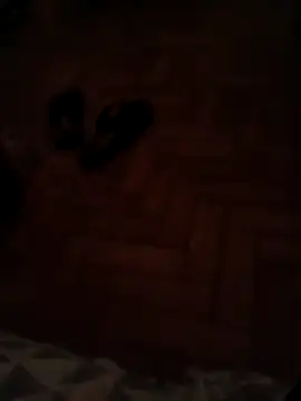 Snapshot of lobomisterioso13 chatting on 12/11/24, 01:26 lobomisterioso13 online show from 12/11/24, 01:26