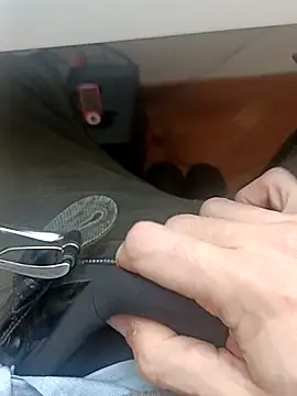 the lion 69 online show from 02/05/26, 09:58