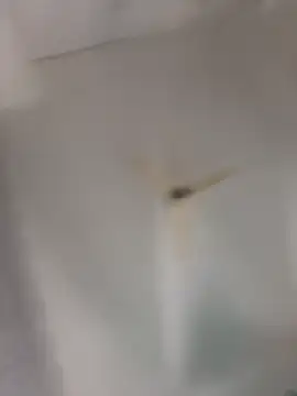 playboy 30 online show from 11/16/25, 09:04