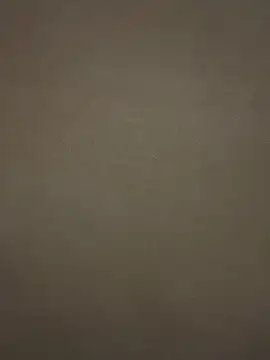 tuperrarica online show from 01/13/25, 04:50