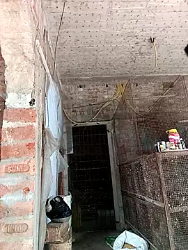 NICK IN online show from 02/24/25, 07:33