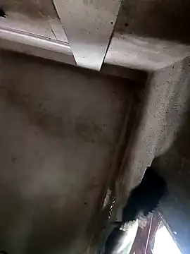 NICK IN online show from 10/30/25, 03:52