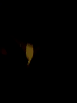 johnnyyyahh online show from 10/10/25, 11:20