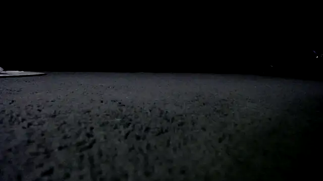 Snapshot of Niquitasparkles chatting on 01/24/25, 10:00 Niquitasparkles online show from 01/24/25, 10:00