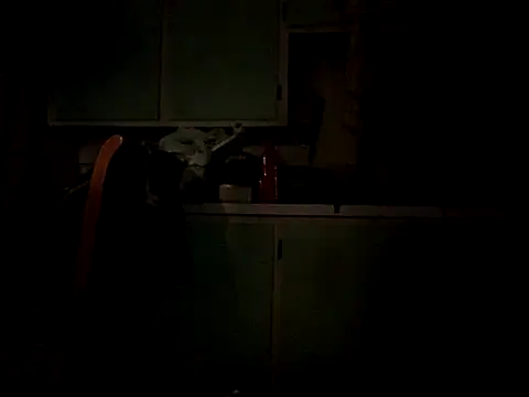 Frankdick01 online show from 10/04/25, 05:05