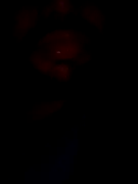 mohitsexy12 online show from 12/08/24, 05:33