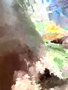 Snapshot of TalkedMarshals chatting on 11/27/25, 05:09 TalkedMarshals online show from 11/27/25, 05:09