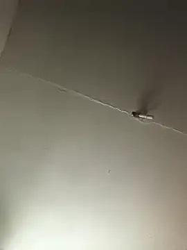 Ozomitro online show from 10/25/25, 02:35