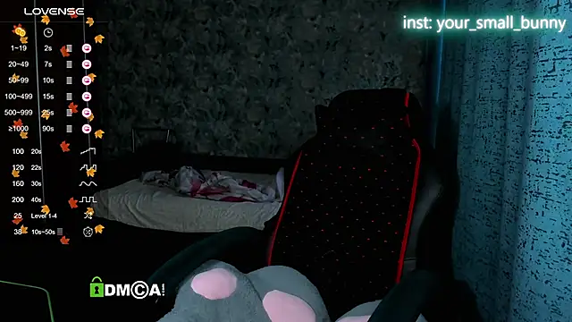 Your small bunny online show from 11/15/25, 02:09