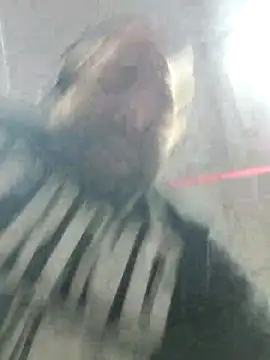 Snapshot of Strong_Bear89 chatting on 12/02/24, 03:04 Strong Bear89 online show from 12/02/24, 03:04