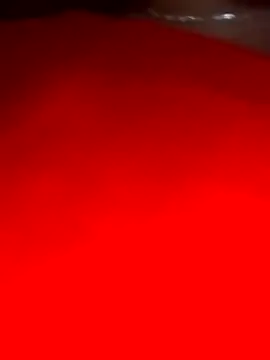 Snapshot of sara_pineros chatting on 12/28/24, 12:04 sara pineros online show from 12/28/24, 12:04