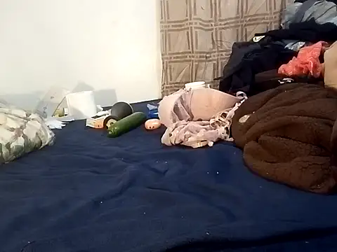 Snapshot of gemini12838 chatting on 11/27/25, 06:10 gemini12838 online show from 11/27/25, 06:10