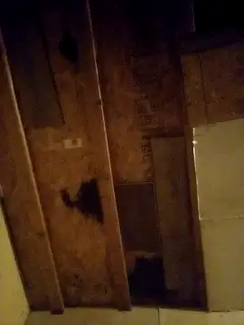 beliqi online show from 12/15/24, 01:24